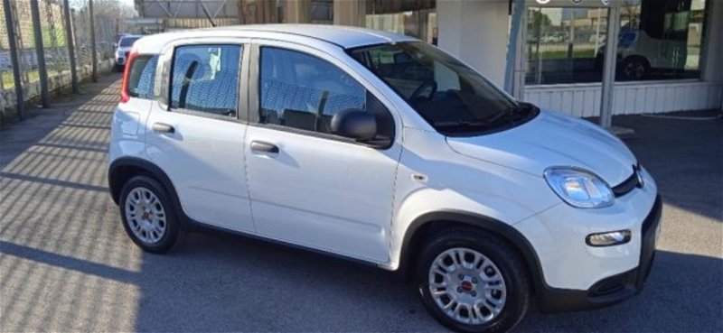 Fiat Panda 1.0 FireFly S&S Hybrid  del 2022 usata a San Giorgio a Liri
