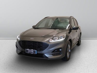 Ford Kuga 2.0 TDCI 150 CV S&amp;S 2WD ST-Line  del 2020 usata a Mosciano Sant&#039;Angelo