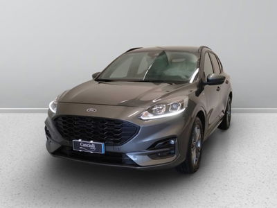 Ford Kuga 2.0 TDCI 150 CV S&amp;S 2WD ST-Line  del 2020 usata a Mosciano Sant&#039;Angelo