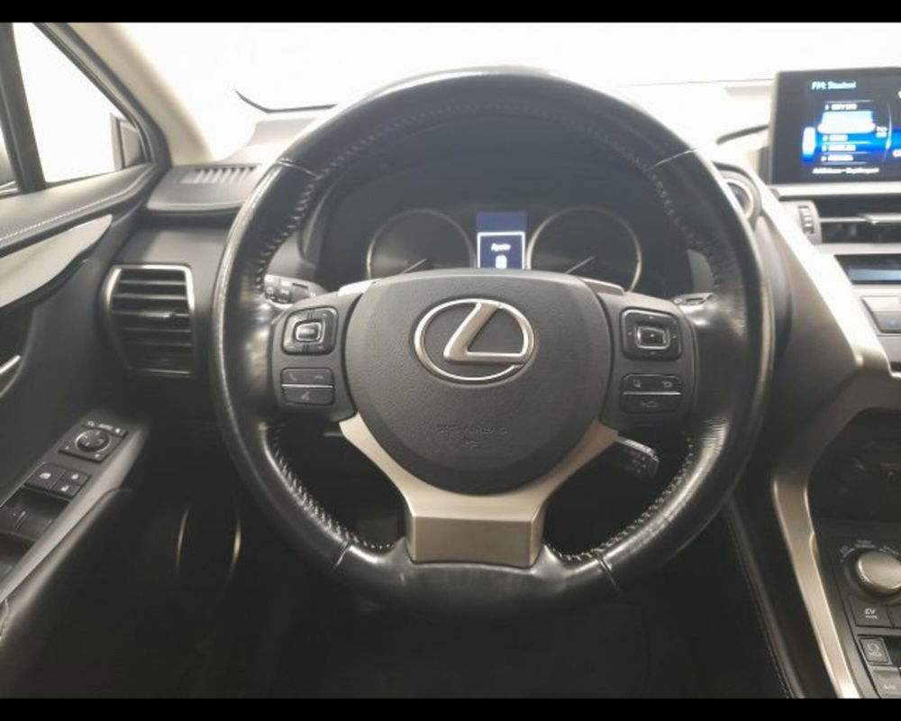 Lexus NX usata a Alessandria (12)