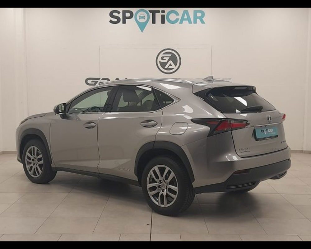 Lexus NX usata a Alessandria (6)