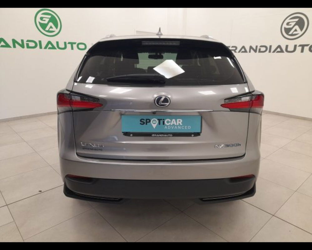 Lexus NX usata a Alessandria (7)