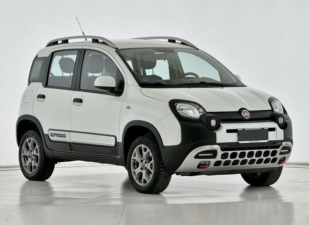 Fiat Panda Cross usata a Perugia (9)