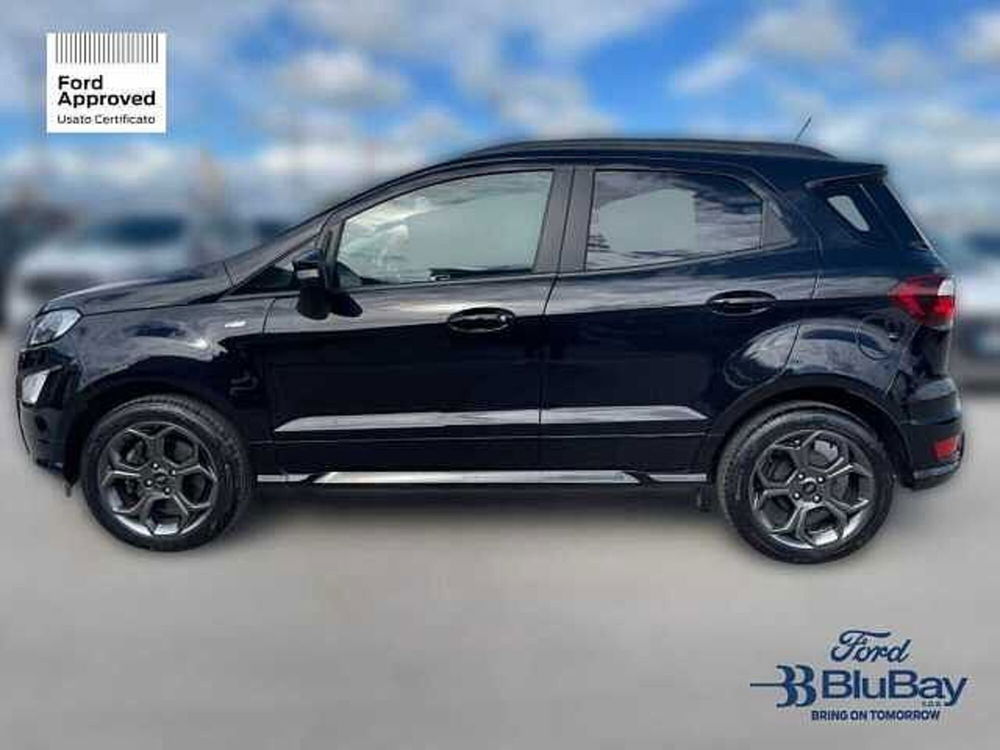 Ford EcoSport usata a Livorno (11)