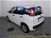 Fiat Panda 1.0 FireFly S&S Hybrid  del 2022 usata a Cologno Monzese (11)
