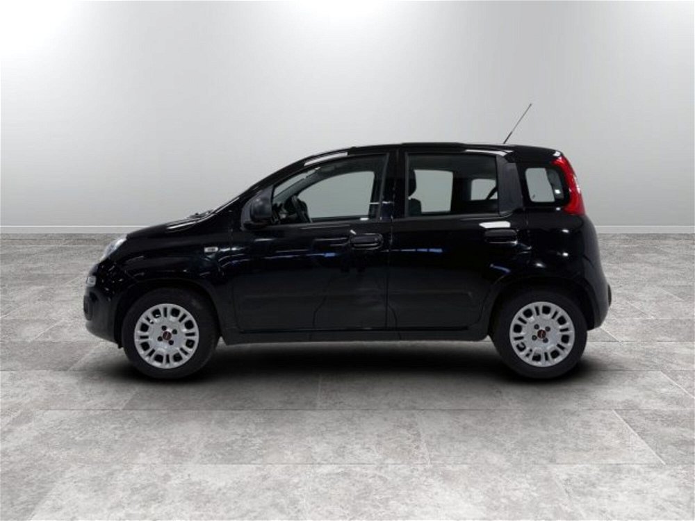 Fiat Panda 1.2 EasyPower Easy  del 2019 usata a Modena (3)