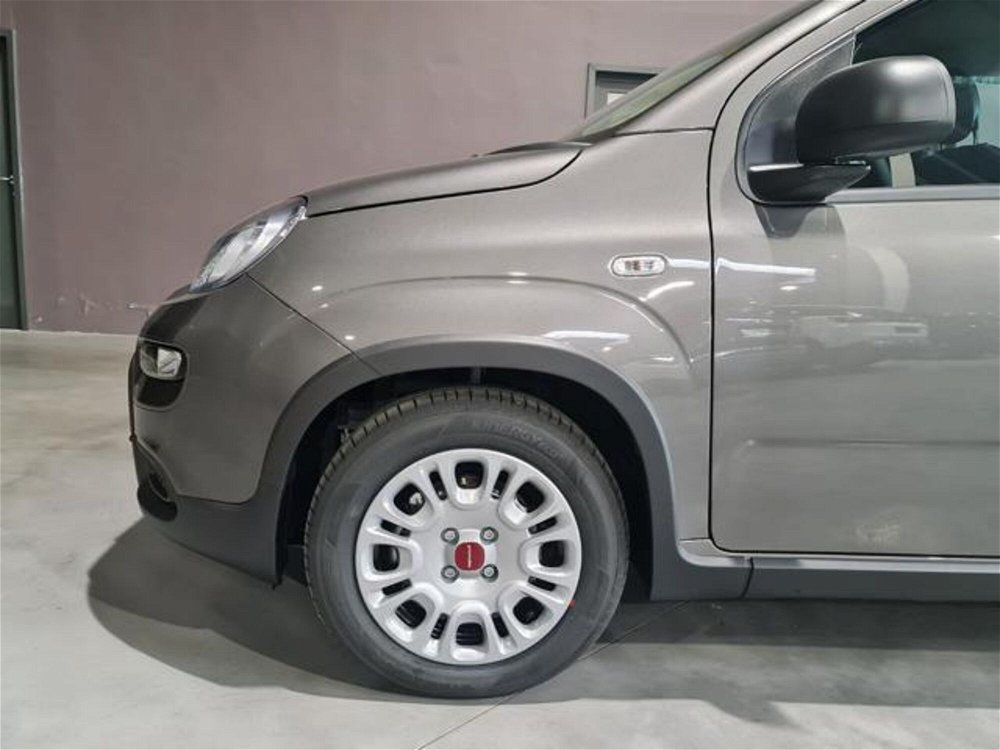 Fiat Panda 1.0 FireFly S&S Hybrid  nuova a Pianezza (4)