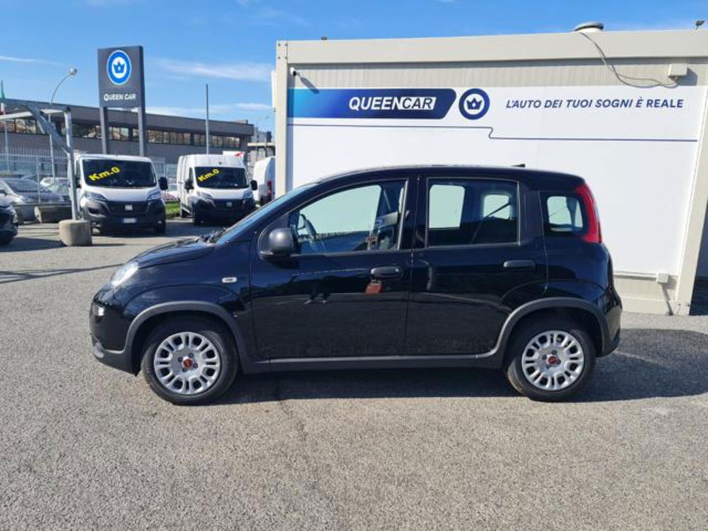 Fiat Panda nuova a Torino (3)