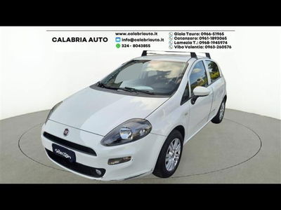 Fiat Punto 1.4 8V 5 porte Easypower Street  del 2016 usata a Gioia Tauro