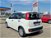 Fiat Panda 1.0 FireFly S&S Hybrid Easy del 2021 usata a Gallarate (7)