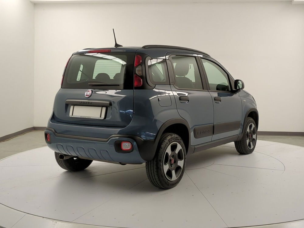 Fiat Panda Cross usata a Avellino (7)