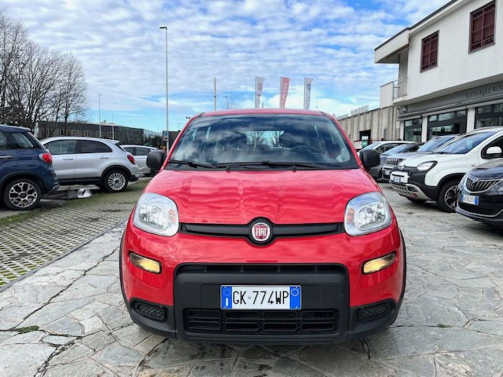 Fiat Panda usata a Milano (2)