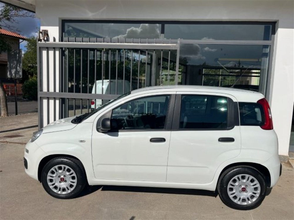 Fiat Panda 1.2 Easy  del 2019 usata a Ghilarza (4)