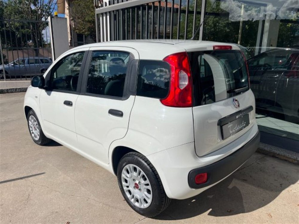 Fiat Panda 1.2 Easy  del 2019 usata a Ghilarza (5)