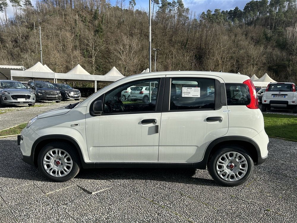 Fiat Panda 1.0 FireFly S&S Hybrid City Cross  nuova a La Spezia (4)