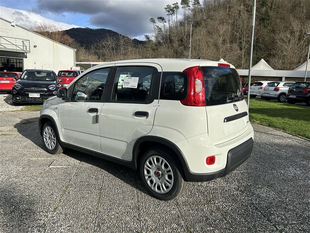 Fiat Panda 1.0 FireFly S&S Hybrid Easy nuova a La Spezia (5)