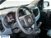 Fiat Panda 1.0 FireFly S&S Hybrid Easy nuova a Calusco d'Adda (10)