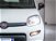 Fiat Panda Cross Cross 1.0 FireFly S&S Hybrid  nuova a Calusco d'Adda (17)
