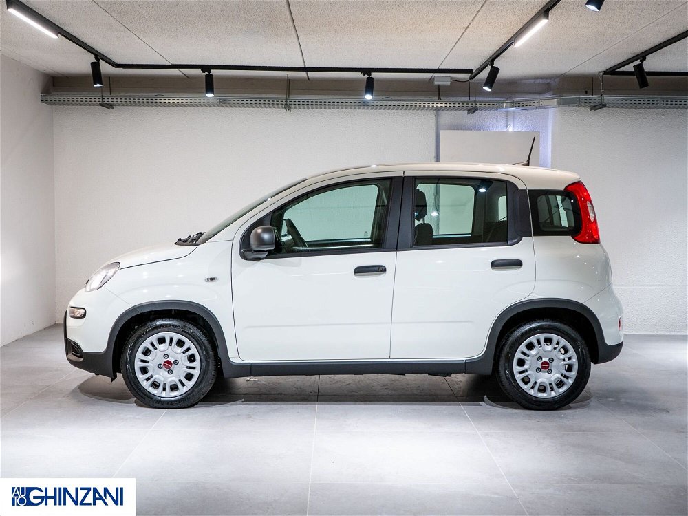 Fiat Panda 1.0 FireFly S&S Hybrid Easy nuova a Calusco d'Adda (4)