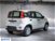 Fiat Panda Cross Cross 1.0 FireFly S&S Hybrid  nuova a Calusco d'Adda (6)
