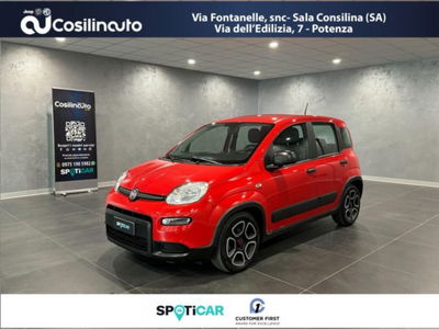 Fiat Panda 1.0 FireFly S&amp;S Hybrid City Cross  del 2022 usata a Sala Consilina