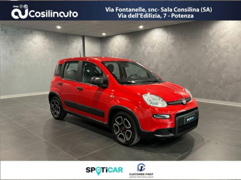 Fiat Panda 1.0 FireFly S&S Hybrid City Cross  del 2022 usata a Sala Consilina (3)