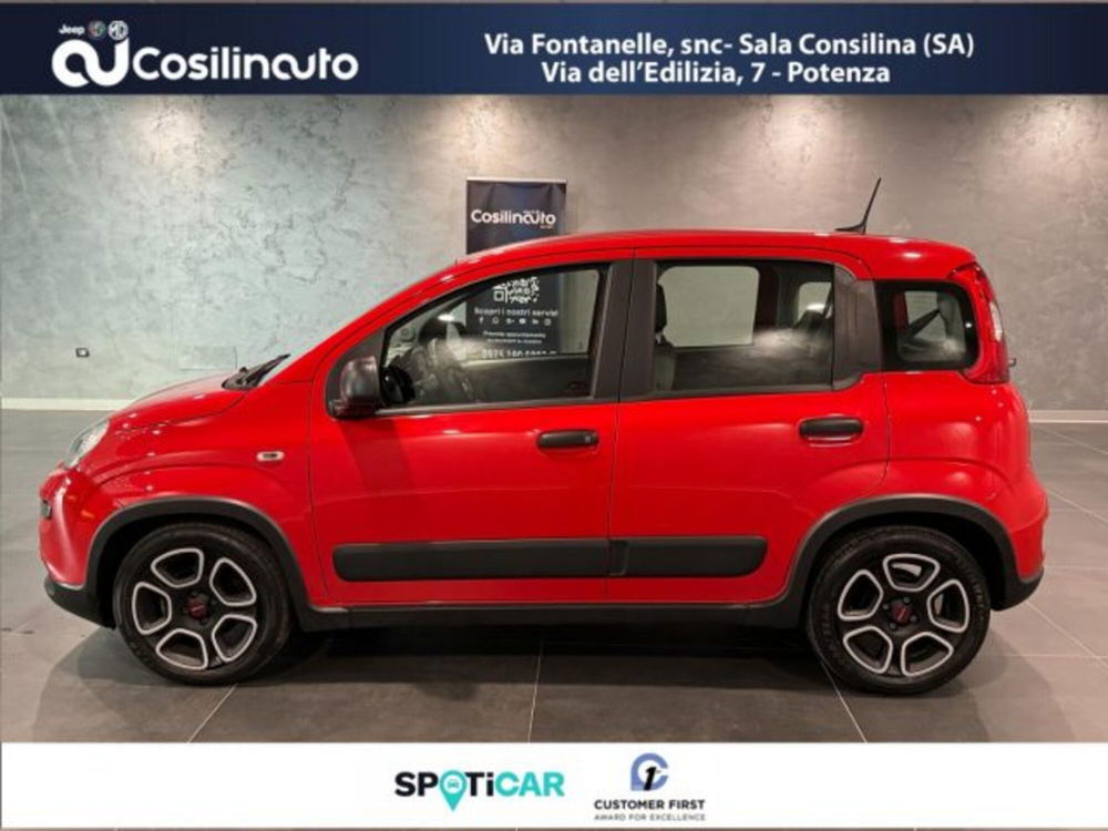 Fiat Panda usata a Salerno (8)