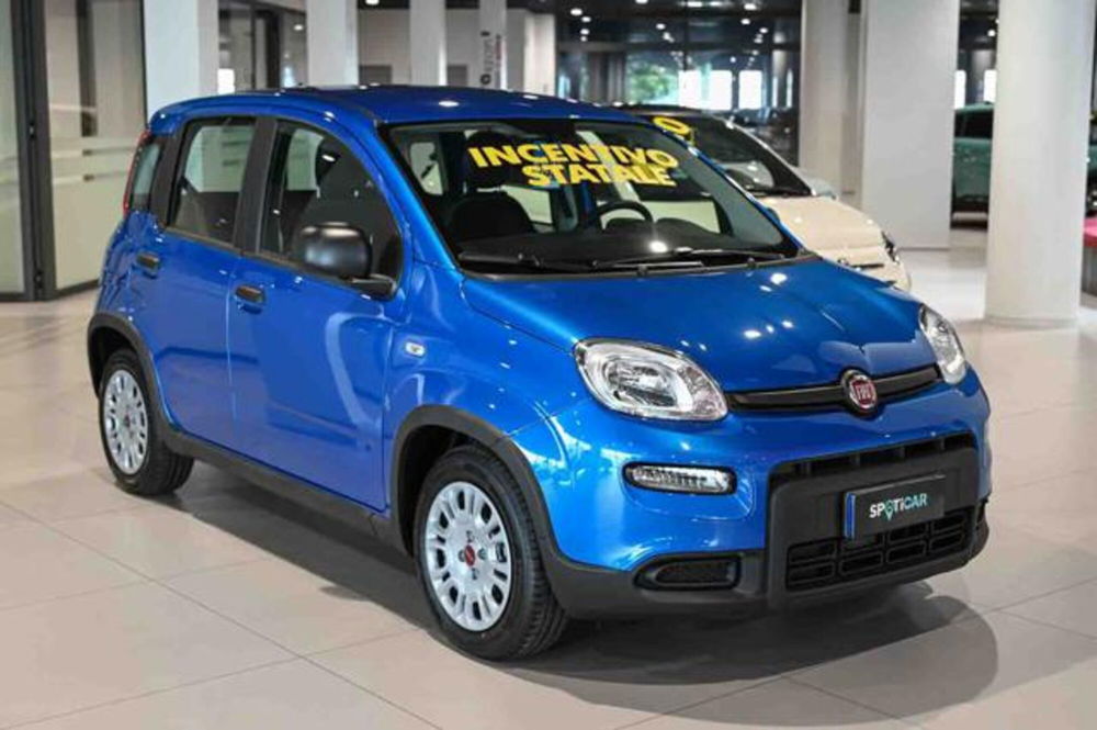 Fiat Panda nuova a Torino