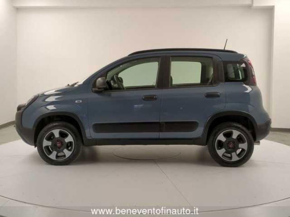 Fiat Panda Cross usata a Avellino (4)