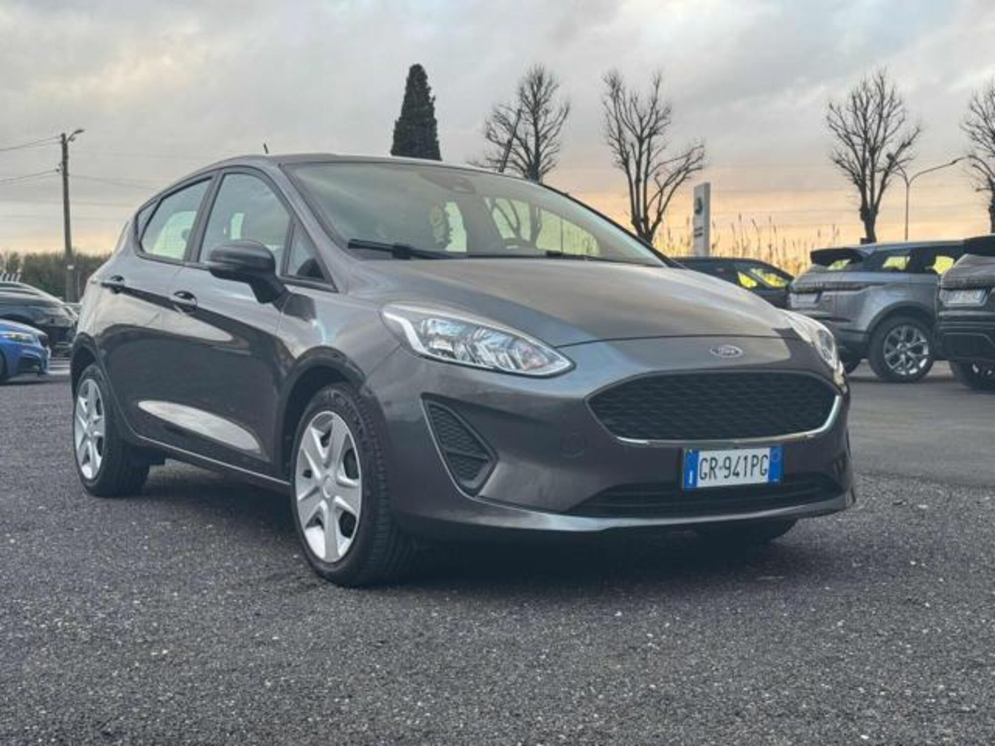 Ford Fiesta 1.1 85 CV 5 porte Plus  del 2017 usata a Massarosa