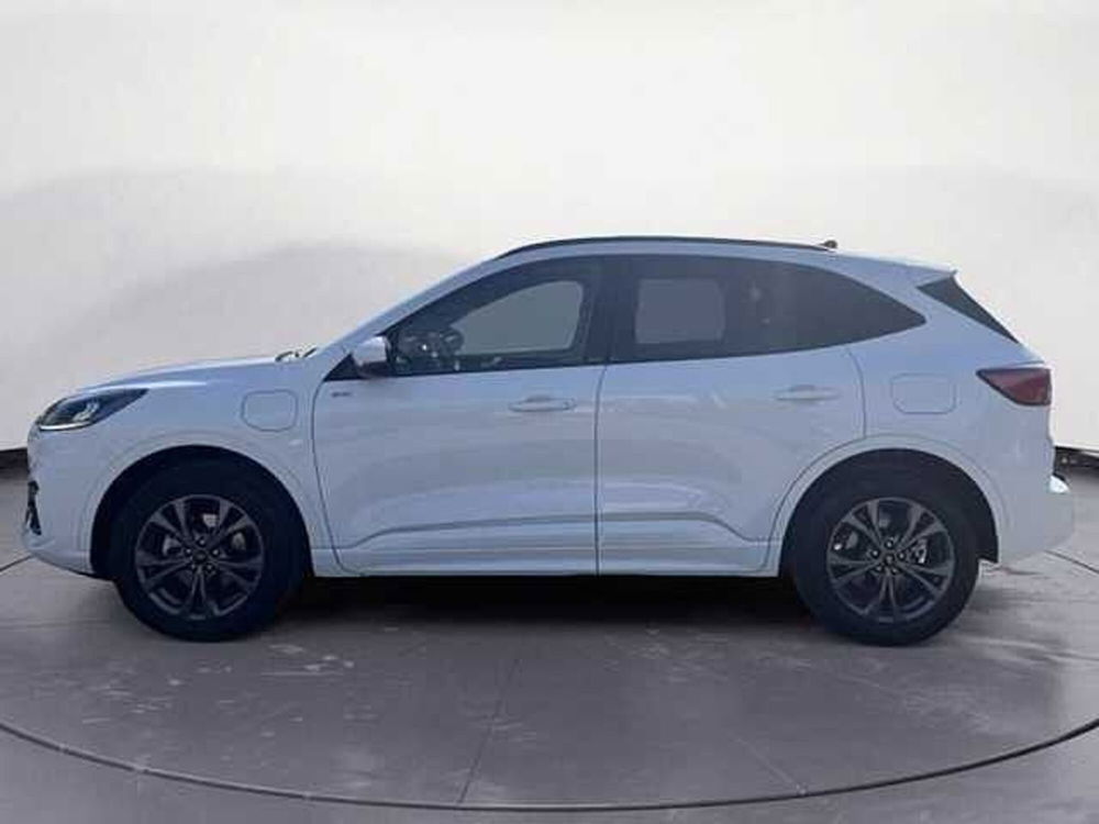 Ford Kuga usata a Bolzano (3)