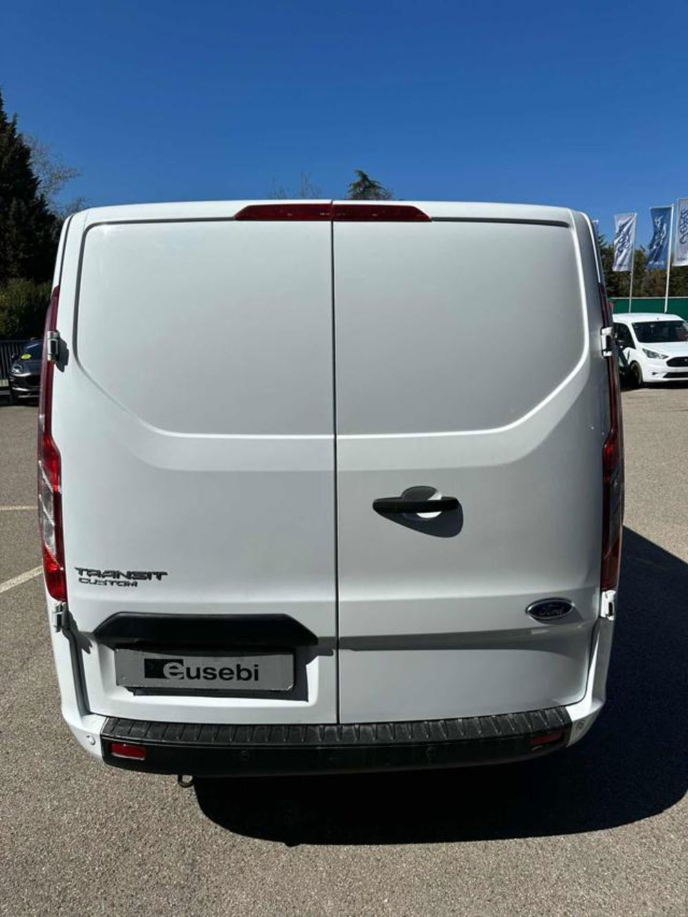 Ford Transit Custom Furgone usata a Pesaro-Urbino (10)