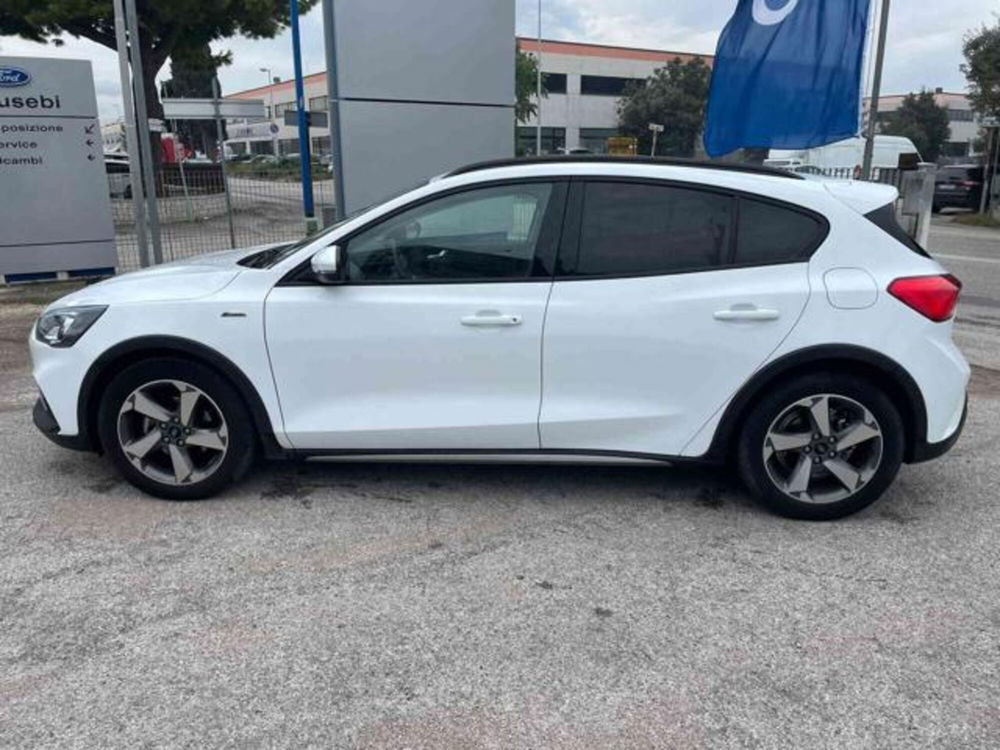 Ford Focus usata a Pesaro-Urbino (8)