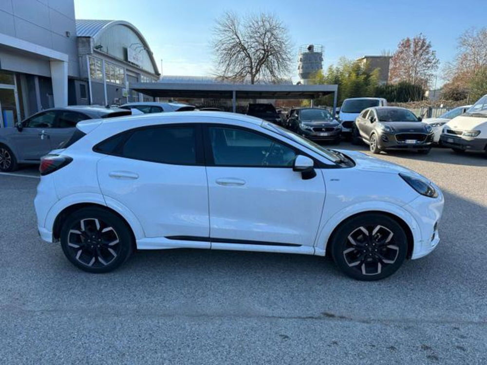 Ford Puma usata a Pesaro-Urbino (4)