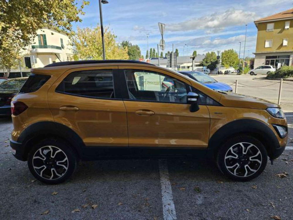 Ford EcoSport usata a Pesaro-Urbino (5)