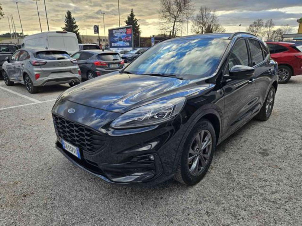 Ford Kuga 2.0 EcoBlue Hybrid 150 CV 2WD ST-Line X  del 2020 usata a Fano (2)