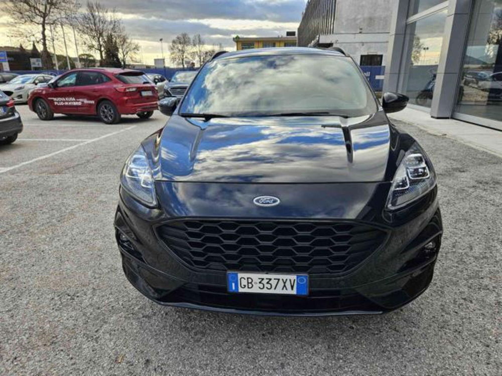 Ford Kuga usata a Pesaro-Urbino (8)