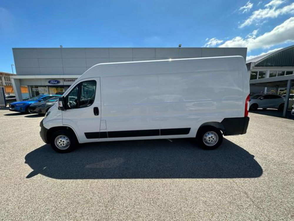 Fiat Ducato Furgone usata a Pesaro-Urbino (7)