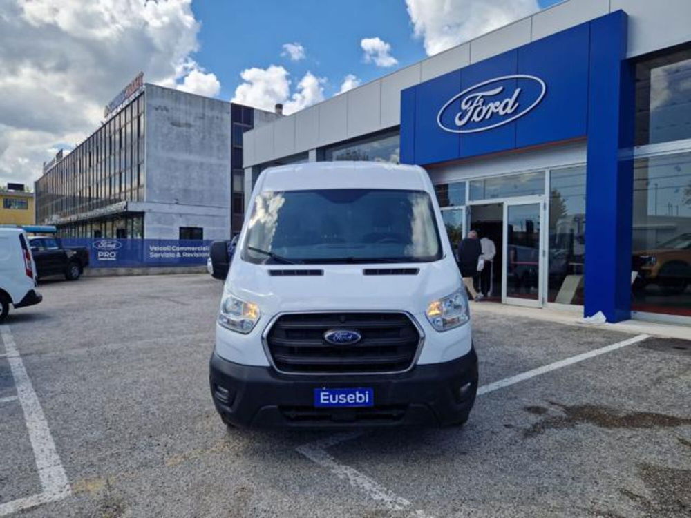 Ford Transit Furgone usata a Pesaro-Urbino (2)