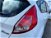 Ford Fiesta Plus 1.2 82 CV 5 porte del 2017 usata a Firenze (18)