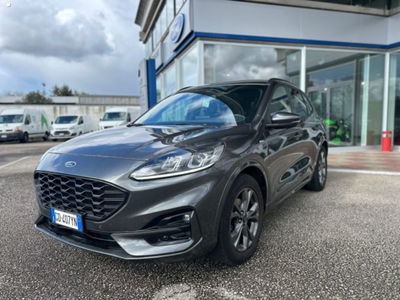 Ford Kuga 1.5 EcoBlue 120 CV 2WD ST-Line  del 2021 usata a Massarosa