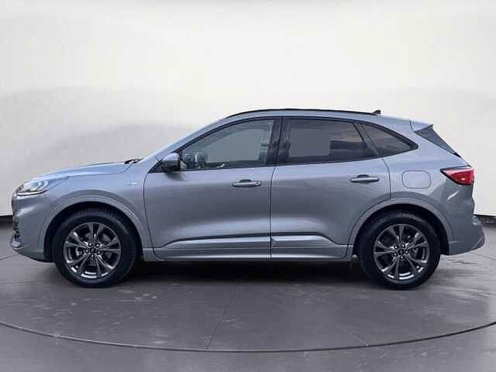 Ford Kuga 1.5 EcoBoost 150 CV 2WD ST-Line X  del 2020 usata a Bolzano/Bozen (3)