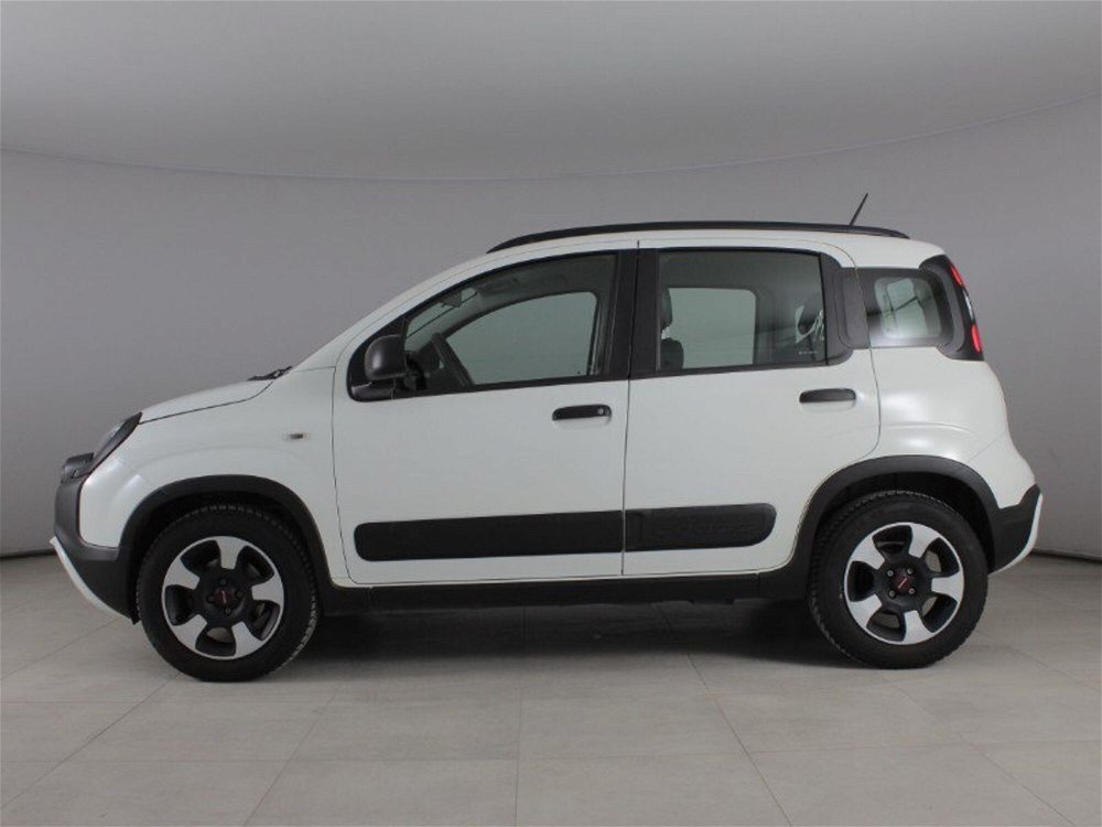 Fiat Panda Cross Cross 1.0 FireFly S&S Hybrid  del 2020 usata a Palermo (4)