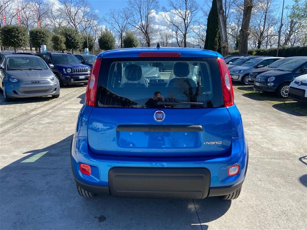 Fiat Panda 1.0 FireFly S&S Hybrid Easy nuova a Caserta (5)