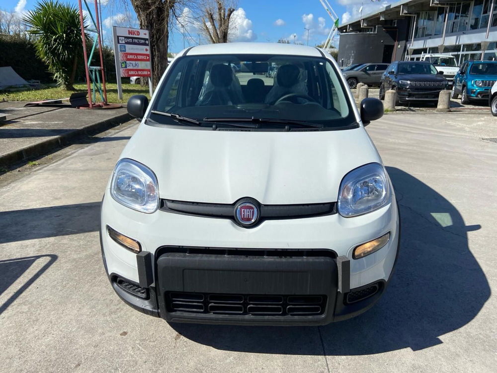 Fiat Panda Cross nuova a Caserta (2)