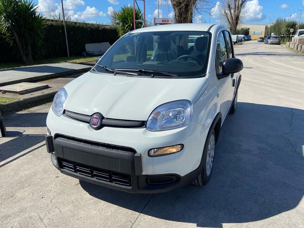 Fiat Panda Cross nuova a Caserta (3)