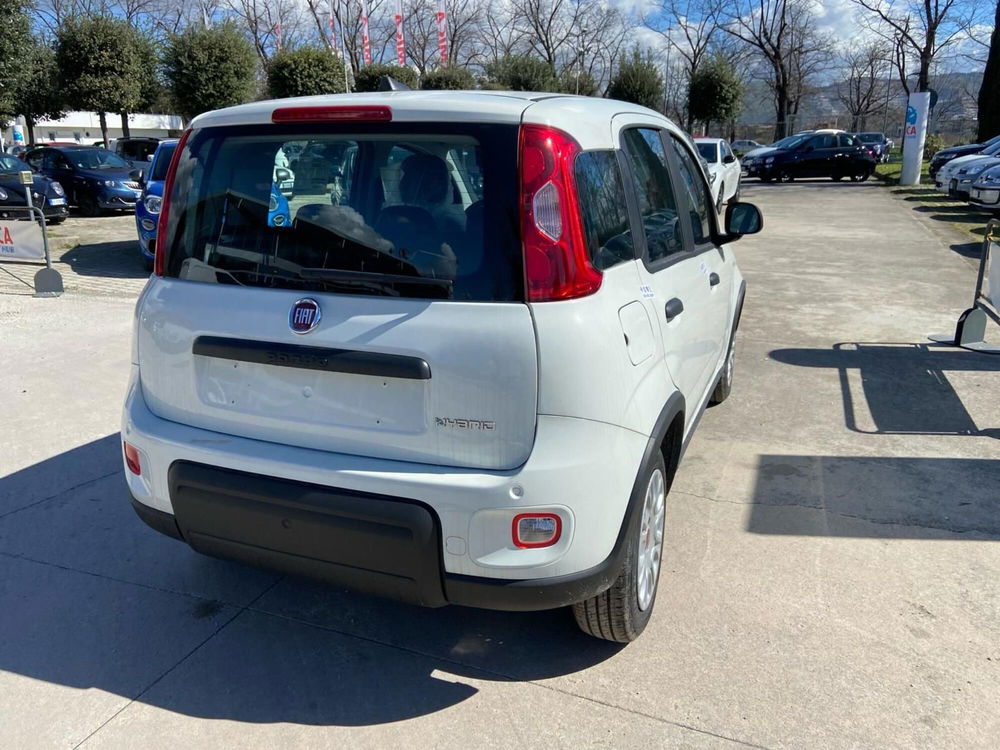 Fiat Panda Cross nuova a Caserta (6)