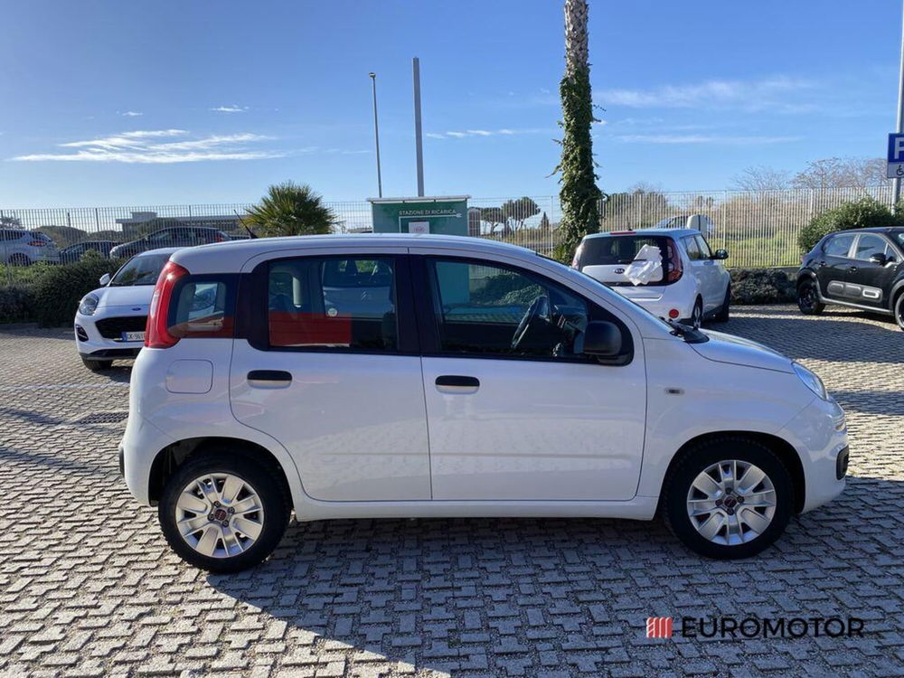 Fiat Panda usata a Bari (4)