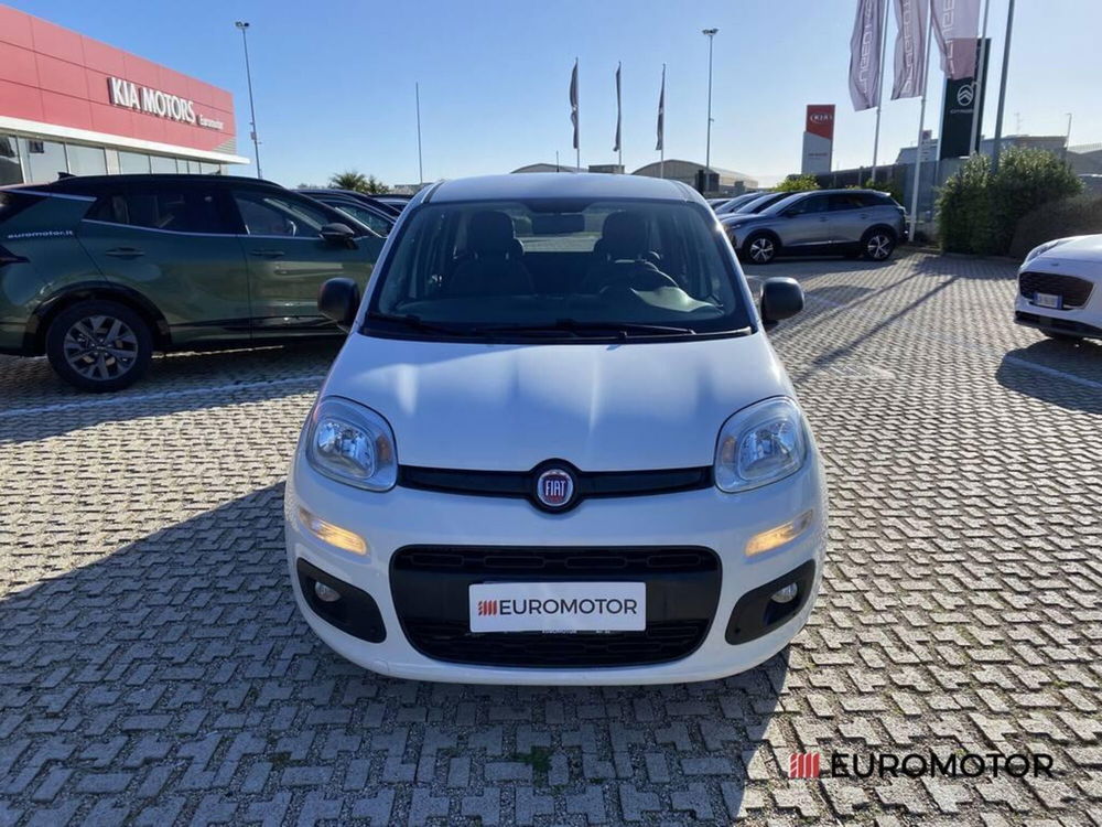 Fiat Panda usata a Bari (2)