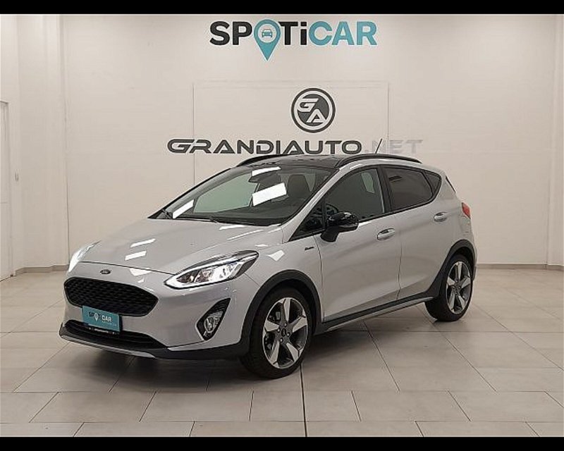 Ford Fiesta Active 1.0 Ecoboost Start&Stop  del 2018 usata a Alessandria